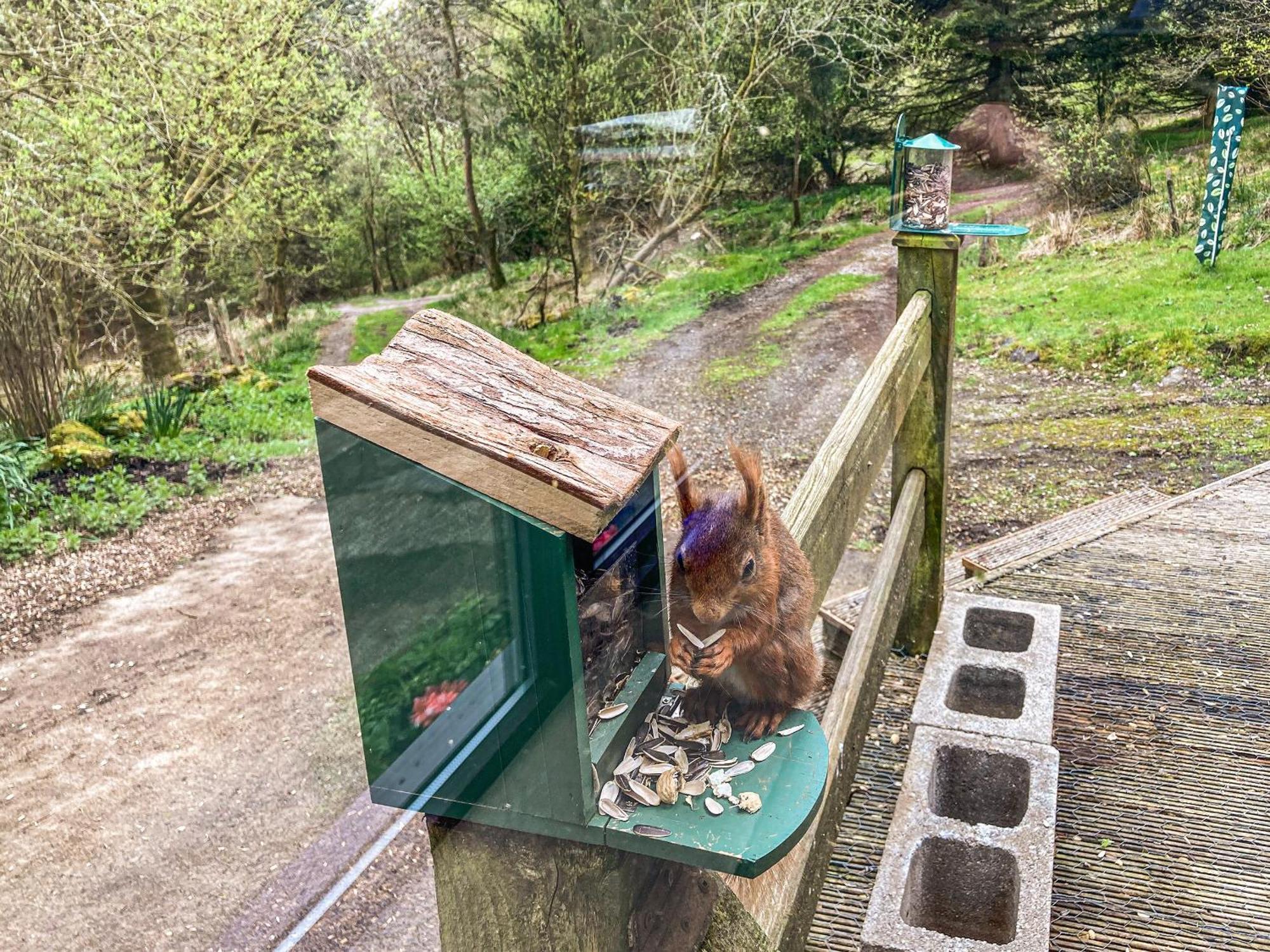 Red Squirrel Haven Villa Hawes Exterior photo